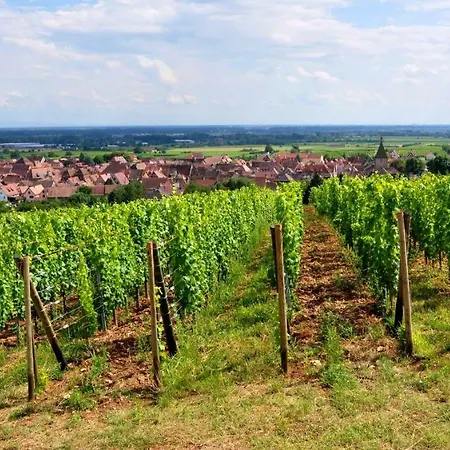 Atelier De Hansi - Centre *