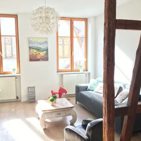 Atelier De Hansi - Centre * 科尔马